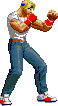 13188.png